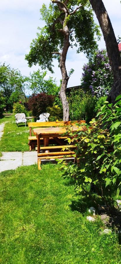 Hărman Casa Din Coltul Cetatiiヴィラ エクステリア 写真