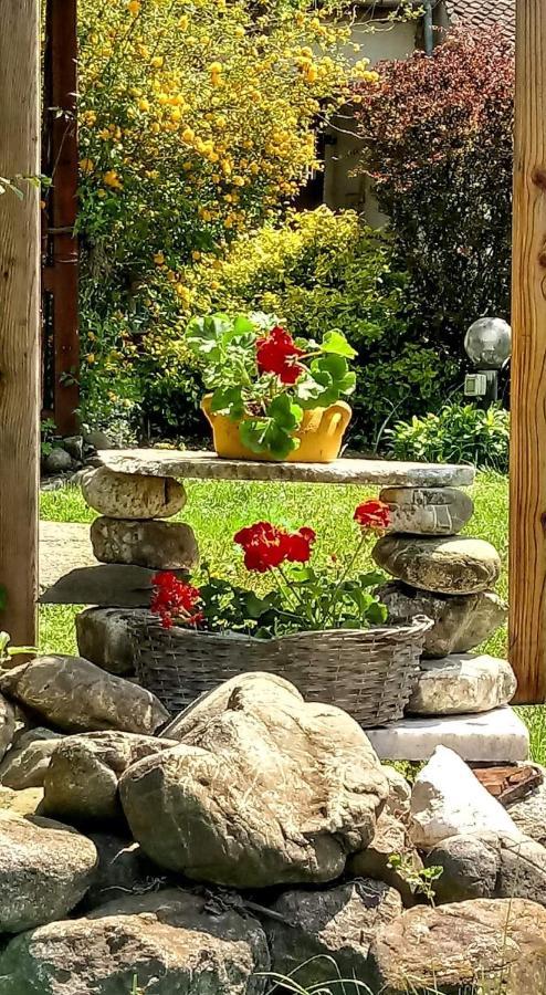 Hărman Casa Din Coltul Cetatiiヴィラ エクステリア 写真