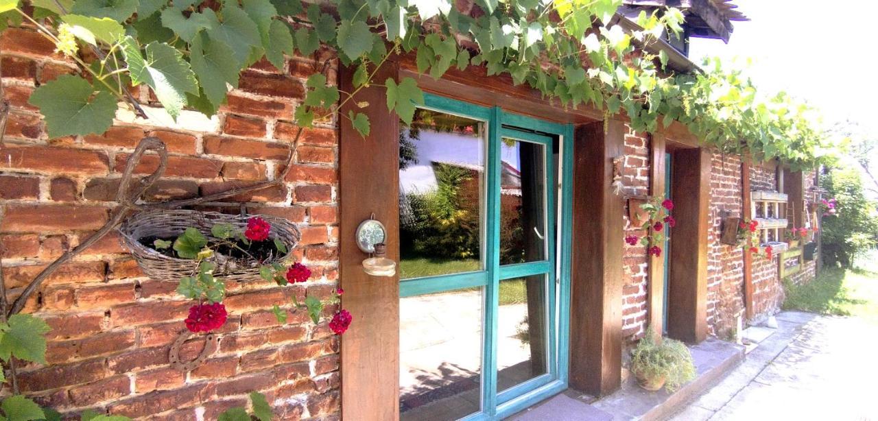 Hărman Casa Din Coltul Cetatiiヴィラ エクステリア 写真